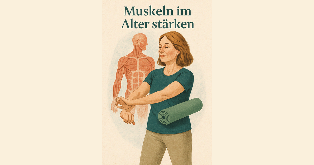 Muskeln im Alter aufbauen – 10 Tipps für mehr Muskelkraft ab 45