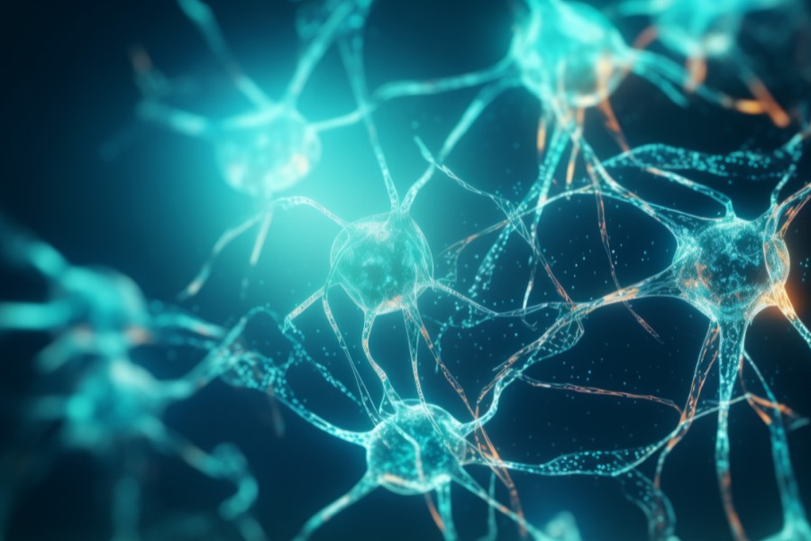Schematische Darstellung vernetzter Nervenzellen mit ihren Fortsätzen